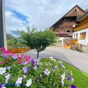 Bio-Bauernhof Grundlehnerhof - Image 4