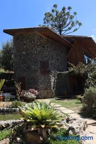 Tiny Houses O Olival - aluguel temporada - Image 2