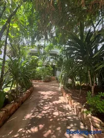 Siri Beach Lodge - Image 5