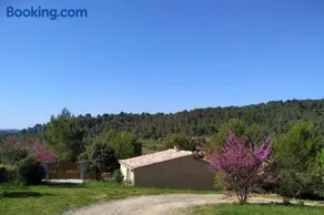 L'Arbre à soleil - Image 2