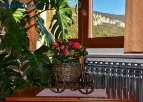 Apartment Pino - Image 4