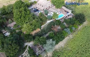 Barbagianni - Image 2