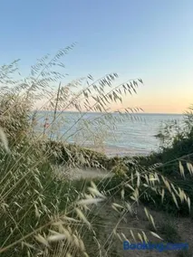 Olive House Seaside - Image 3