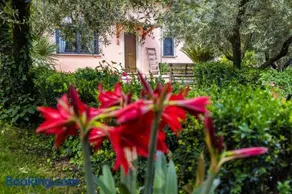 Villa Privata con Giardino e Piscina - Image 5