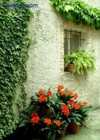 B&B gil d'o - Image 2