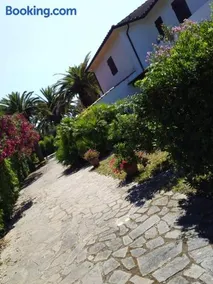 Le Palme - Image 3