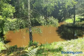 Cottage du lac de Chaumeçon avec étang privé - Image 2