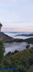 บ้านสวนเอลเลน Ellen Farmhouse - Image 4
