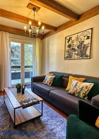 Maibrunn Ski&Spa Apartment Pauli - Image 1