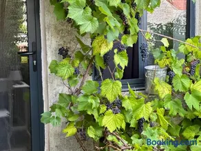 Maison au bord de l’eau - Image 3