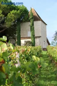 Dovecote of Château Hostens-Picant - Image 3
