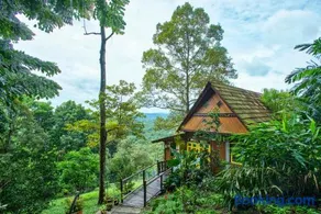 The Dusun - Image 2