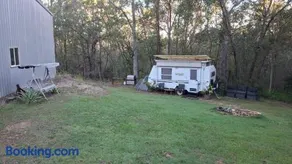 Caravan Rustic Sunflower - Image 4