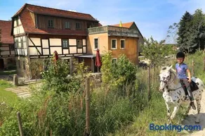 Ferienhaus Lindenhof Graupa - Image 2