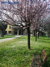 R&B Albero Cavo Parma - Image 3