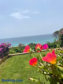 Casa Pinus - Image 2