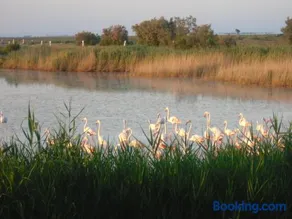 Chambre les flamants, climatisation, avec vue imprenable sur les étangs, petit déjeuner offert - Image 2