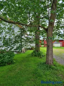 Flekkan gård - Image 3