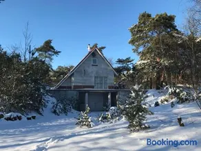 Het krekeltje - Image 3