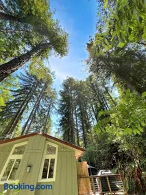Cozy cabin deep in the redwoods with WiFi and Hot Tub - Image 5