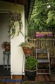 Ferienhaus ROSENHOF Vulkaneifel - Image 4
