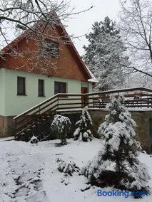 Zelený dom - Image 2
