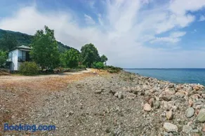 Lemongarden by the sea - Image 1
