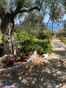 Seaview serenity - Image 2