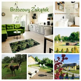 Brzozowy Zakątek - Image 1