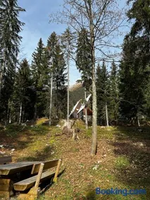 ~Chalet_Rifugio tra i boschi~ - Image 3