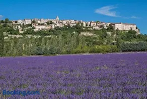 Bastide le Seigneur - Image 2