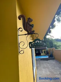 Das Gelbe Haus - A Casa Amarela - Image 5