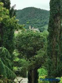 Il Bagolaro - Image 4