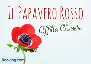 Il papavero rosso - Image 1