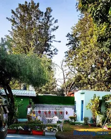 Olive Greens Homestay - Image 5