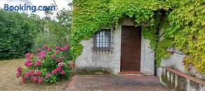 Casale Nel Cilento - Image 3