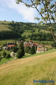 Gästehaus Sonnhalde - Image 1