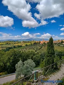 We Love Umbria - Image 2
