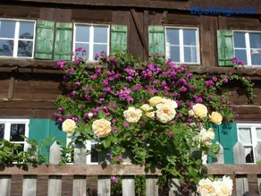 Rosenhof - Image 2