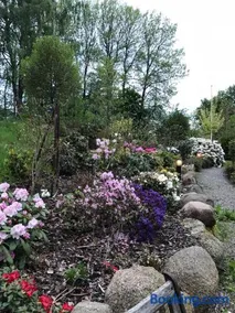 Lilla lägenheten - Image 3