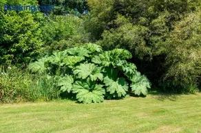 Domaine des légendes - Image 5