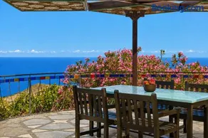 ALPALMA casa & jardín - Image 5