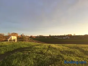 Ferienhof Löw - Image 2