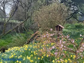 Garden Studio for Two - Image 2