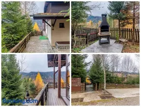 Andu's Chalet Azuga - Image 3