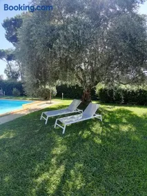 Villa con piscina Circeo - Sabaudia - Image 4