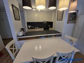 PL203 frisch renovierte lichtdurchflutete Wohnung mit Terrasse - Image 3