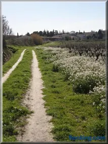 Bastide YSATIS - Image 2