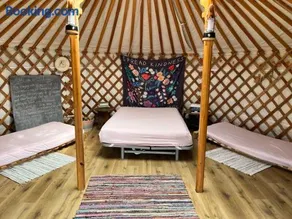 Wilding Yurt Stay - Image 4