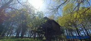 Kis Tűzlepke Lombház - Image 4
